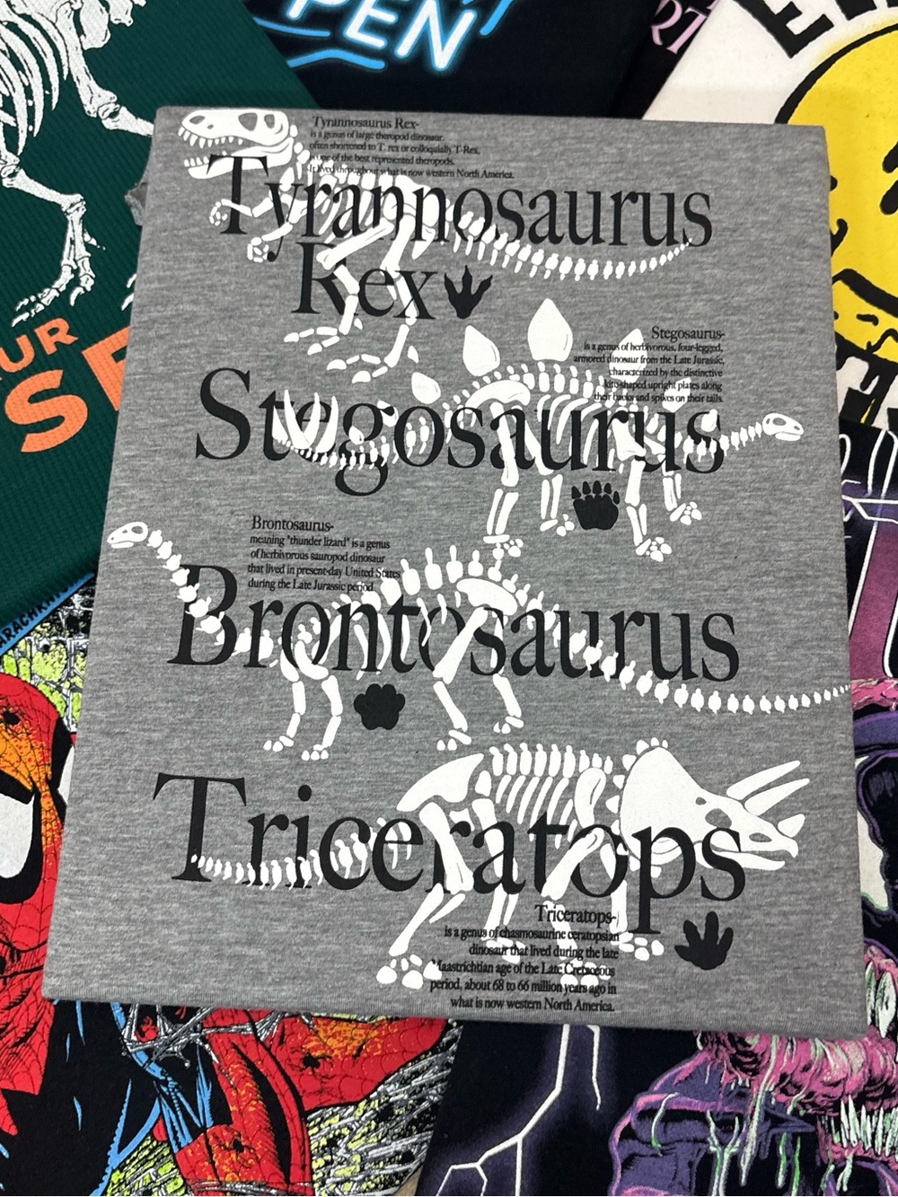 Dinosaur Skeleton Canvas Wall Art | T-Rex Stegosaurus Decor